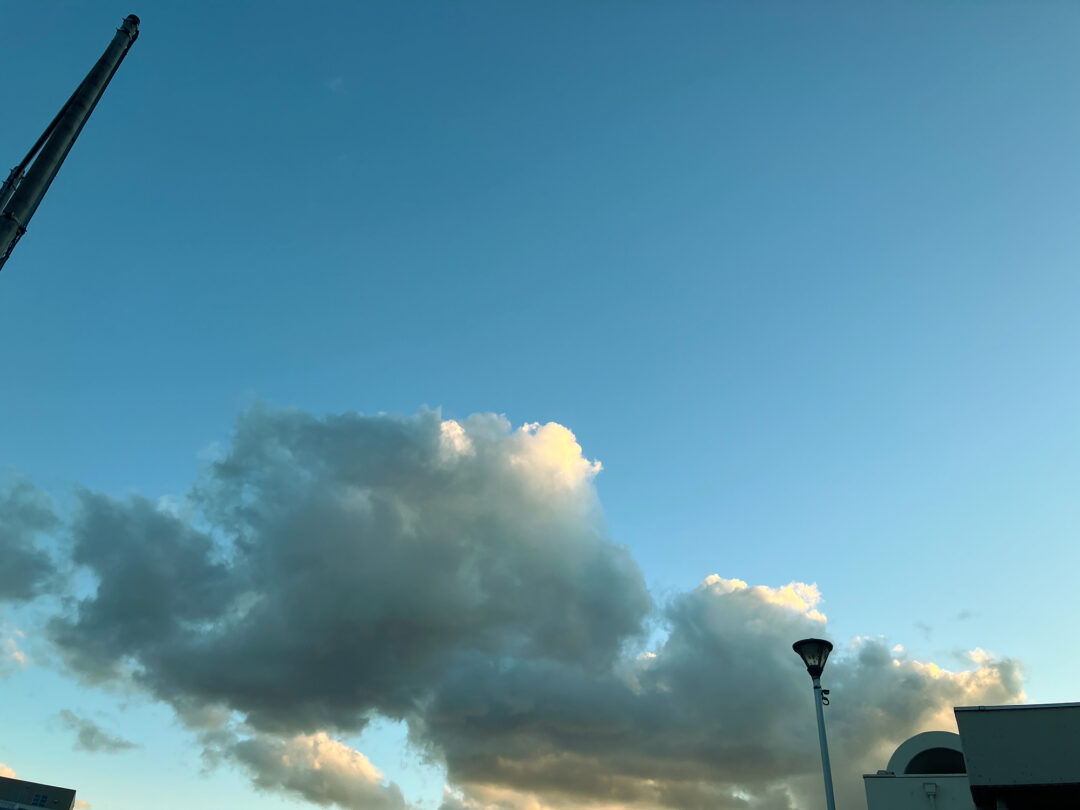 股関節・今後のこと