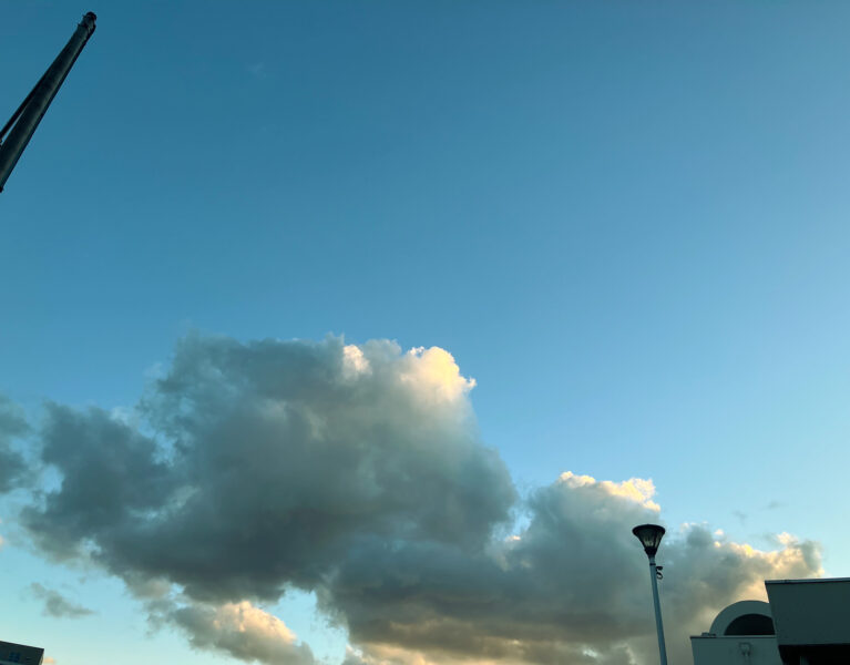 股関節・今後のこと