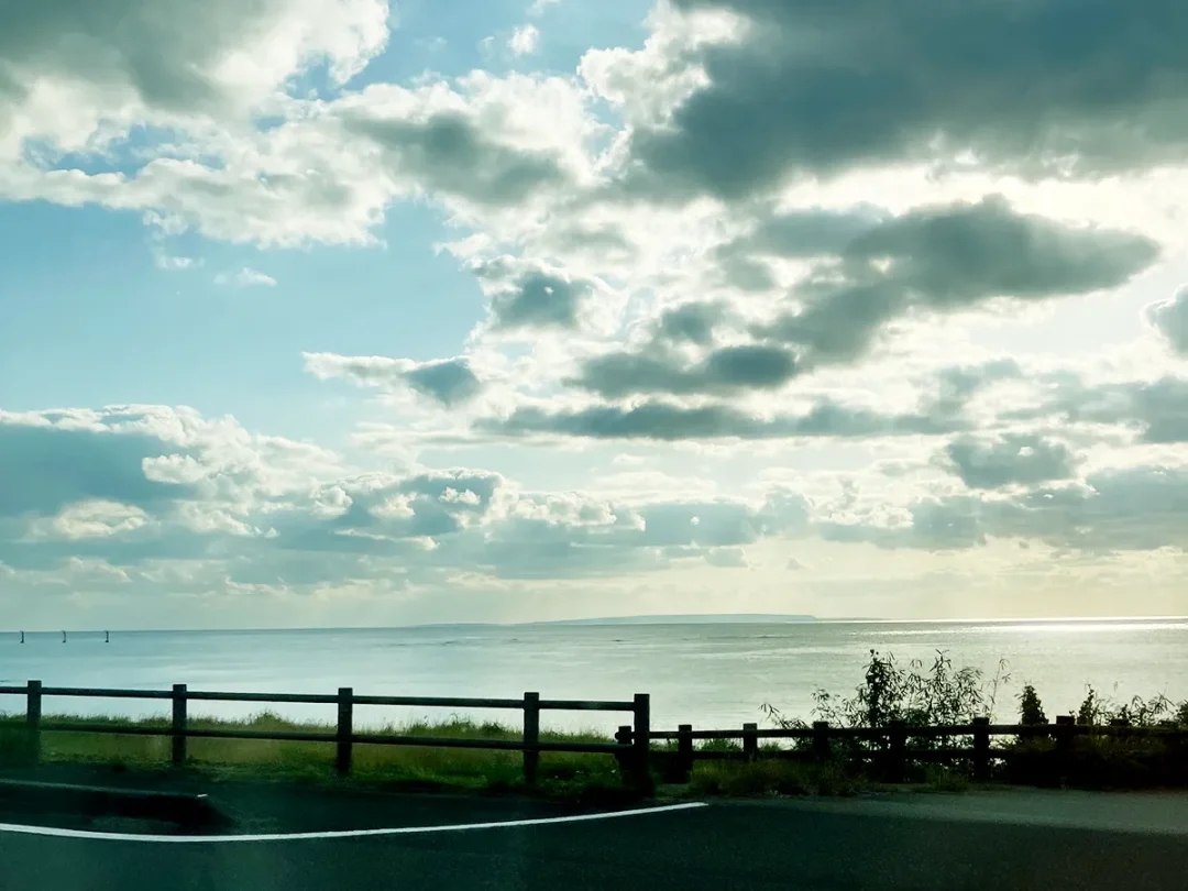 キシリトール粉末の効果を試してみた｜歯周病が気になる私のケア