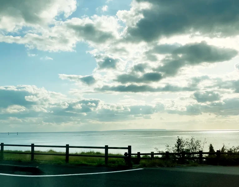 キシリトール粉末の効果を試してみた｜歯周病が気になる私のケア